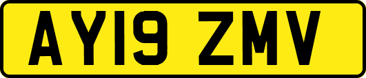 AY19ZMV