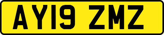 AY19ZMZ