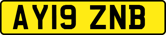 AY19ZNB