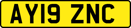 AY19ZNC