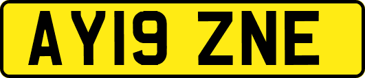 AY19ZNE