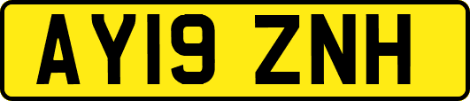 AY19ZNH