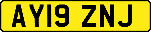 AY19ZNJ