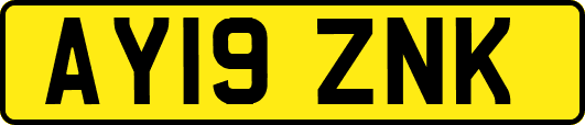 AY19ZNK