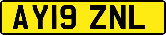 AY19ZNL