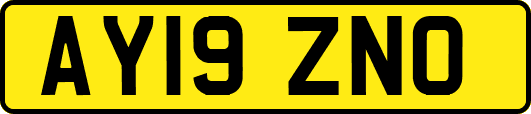 AY19ZNO