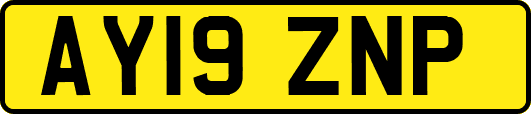 AY19ZNP