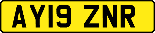 AY19ZNR
