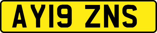 AY19ZNS