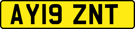 AY19ZNT