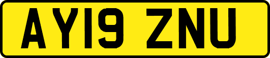 AY19ZNU