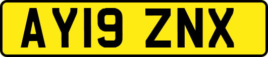 AY19ZNX