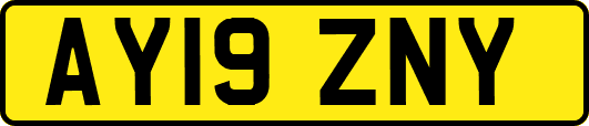 AY19ZNY