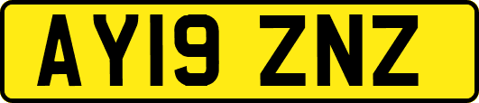 AY19ZNZ