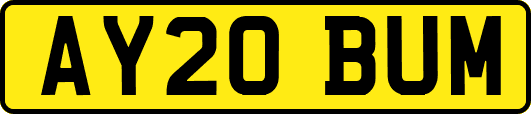 AY20BUM