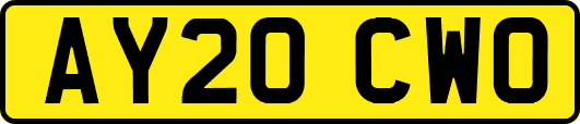 AY20CWO
