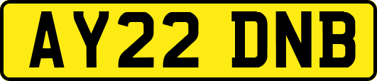 AY22DNB