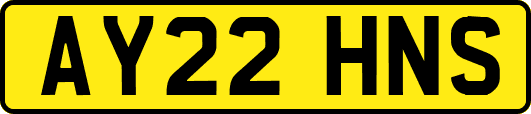 AY22HNS