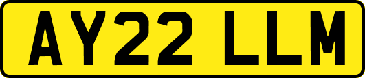 AY22LLM