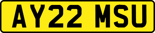 AY22MSU
