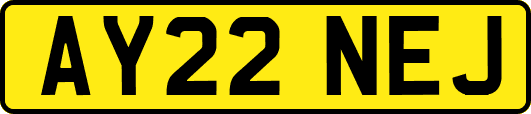 AY22NEJ