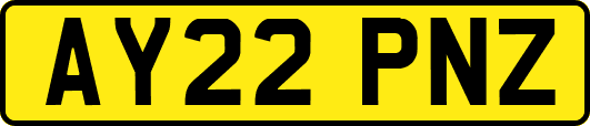 AY22PNZ