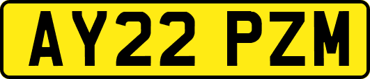 AY22PZM