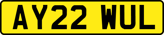 AY22WUL