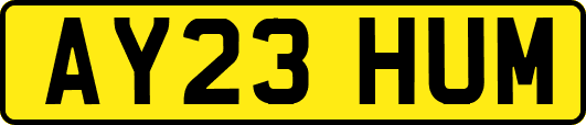 AY23HUM