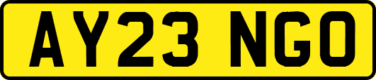 AY23NGO