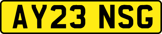 AY23NSG