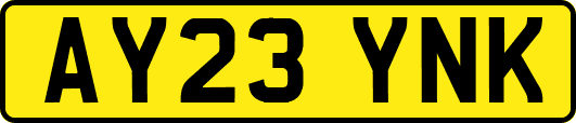 AY23YNK