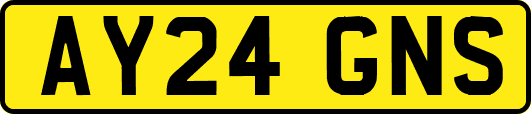 AY24GNS