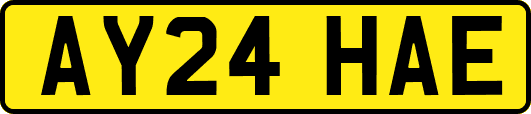 AY24HAE