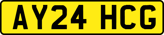 AY24HCG