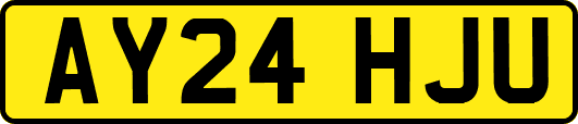 AY24HJU