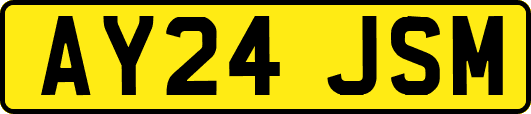 AY24JSM