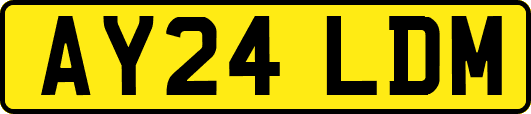 AY24LDM