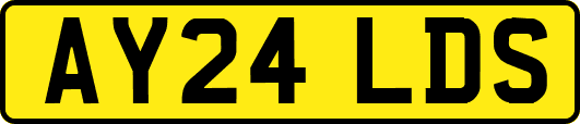 AY24LDS