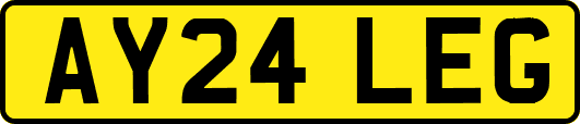 AY24LEG