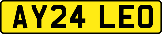 AY24LEO