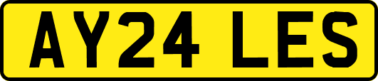 AY24LES