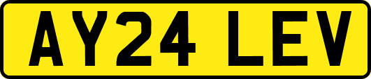 AY24LEV