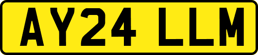 AY24LLM