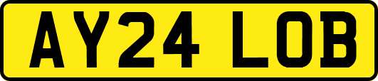 AY24LOB