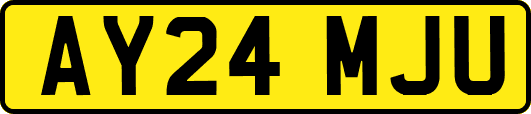 AY24MJU