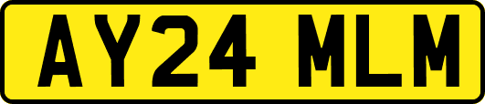 AY24MLM