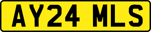 AY24MLS