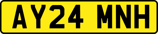 AY24MNH