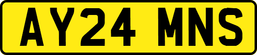 AY24MNS
